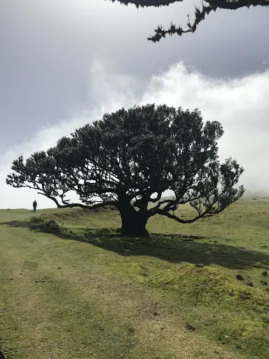Ewa Mioduska Psycholog Siedlce